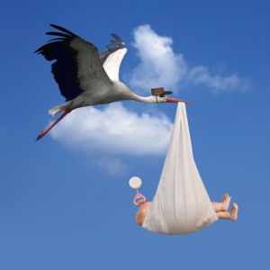 baby and stork fotolia_17391558