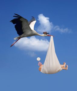 baby and stork