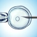 In Vitro Fertilization