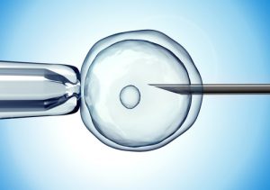 in-vitro-photo