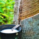 Alternatives to Latex Condoms