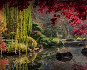 gibbs-gardens photo