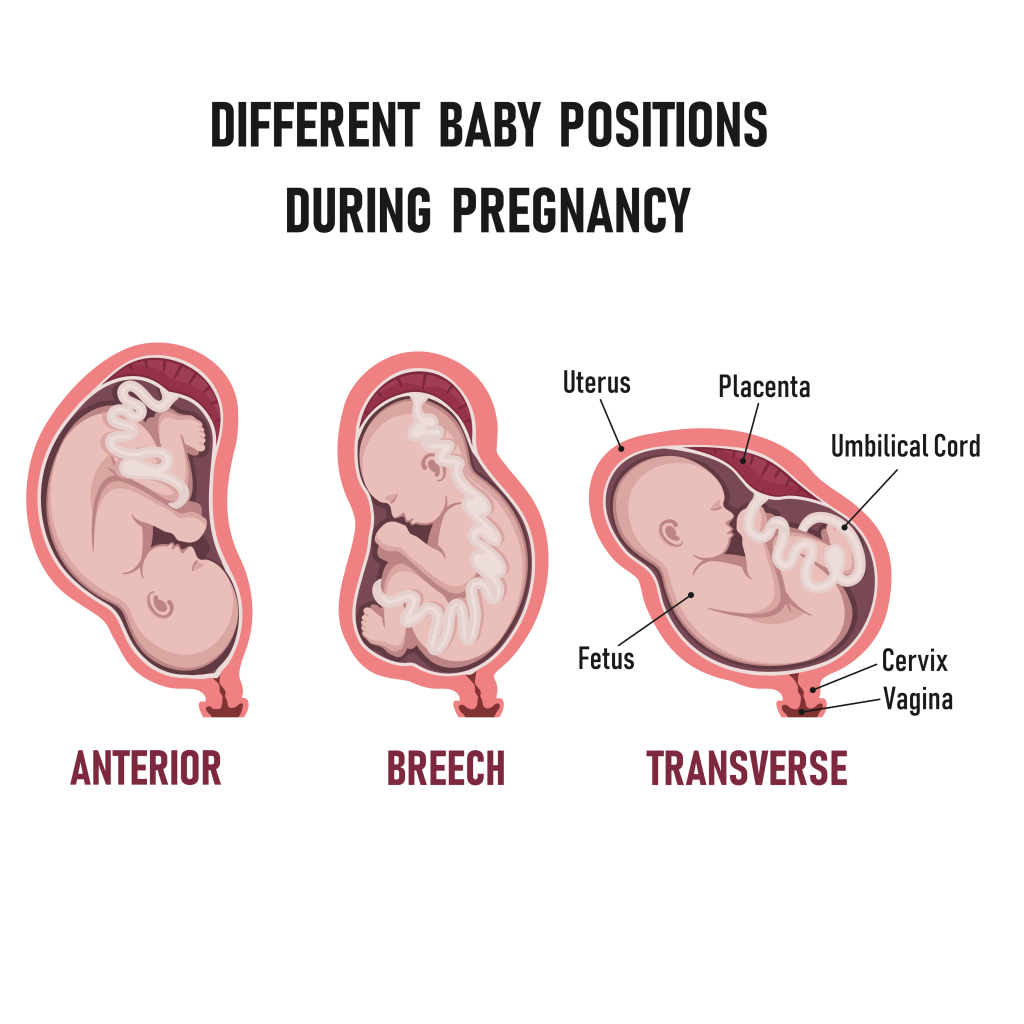 Months Pregnant Symptoms And Fetal Development Pampers 40 OFF