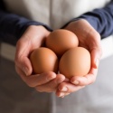 woman-holding-eggs_333311626