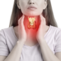 Thyroid Disorders and Heavy Periods: The Hormonal Link